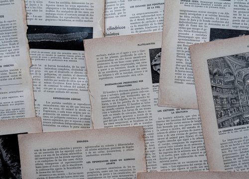 漫画爱好者阅读剧情简介页面，展示主角在复杂世界观背景下的关键抉择场景，画面张力感强烈